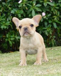 Click sobre la imagen para ampliarla