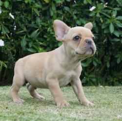 Click sobre la imagen para ampliarla