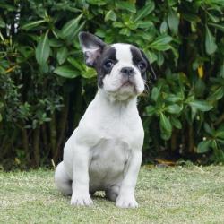 Click sobre la imagen para ampliarla