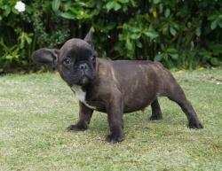 Click sobre la imagen para ampliarla