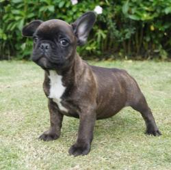 Click sobre la imagen para ampliarla