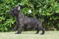 Click sobre la imagen para ampliarla