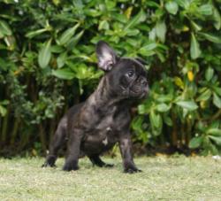 Click sobre la imagen para ampliarla