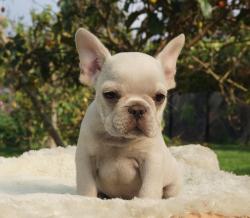 Click sobre la imagen para ampliarla