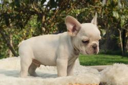 Click sobre la imagen para ampliarla