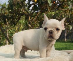 Click sobre la imagen para ampliarla