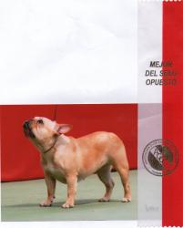 Click sobre la imagen para ampliarla