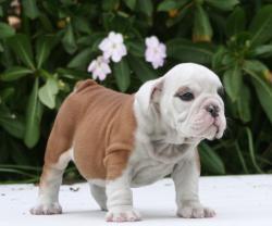 Click sobre la imagen para ampliarla