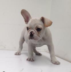 Click sobre la imagen para ampliarla