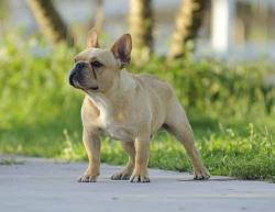 Click sobre la imagen para ampliarla