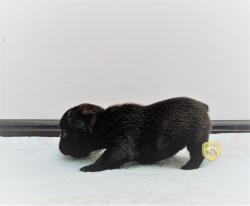 Click sobre la imagen para ampliarla