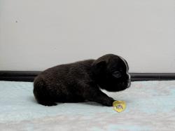 Click sobre la imagen para ampliarla