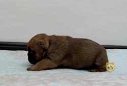 Click sobre la imagen para ampliarla