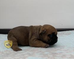 Click sobre la imagen para ampliarla