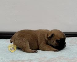 Click sobre la imagen para ampliarla