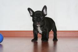 Click sobre la imagen para ampliarla