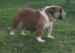 Click sobre la imagen para ampliarla