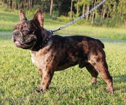 Click sobre la imagen para ampliarla