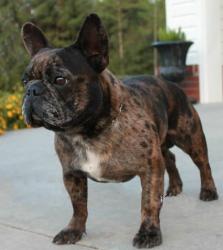 Click sobre la imagen para ampliarla