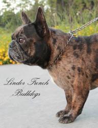 Click sobre la imagen para ampliarla