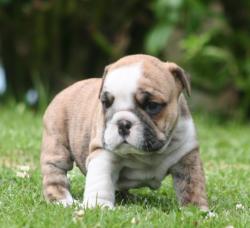 Click sobre la imagen para ampliarla