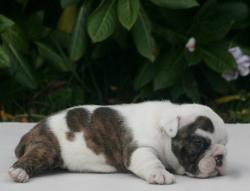 Click sobre la imagen para ampliarla