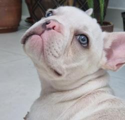 Click sobre la imagen para ampliarla