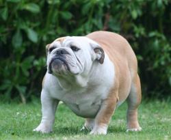 Click sobre la imagen para ampliarla