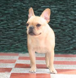 Click sobre la imagen para ampliarla