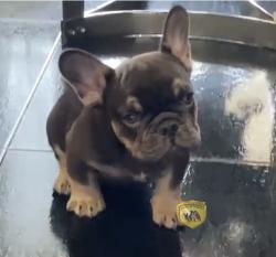 Click sobre la imagen para ampliarla