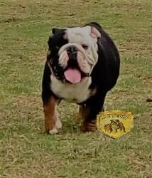 Click sobre la imagen para ampliarla