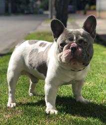 Click sobre la imagen para ampliarla