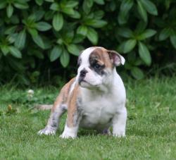 Click sobre la imagen para ampliarla