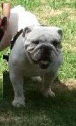 Click sobre la imagen para ampliarla