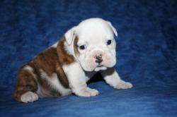 Click sobre la imagen para ampliarla