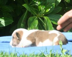 Click sobre la imagen para ampliarla