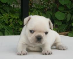 Click sobre la imagen para ampliarla