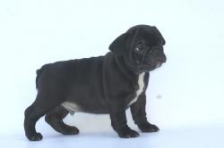 Click sobre la imagen para ampliarla