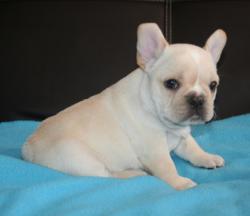 Click sobre la imagen para ampliarla