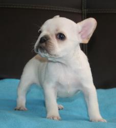 Click sobre la imagen para ampliarla