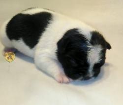 Click sobre la imagen para ampliarla