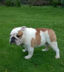 Click sobre la imagen para ampliarla