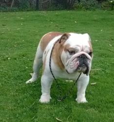 Click sobre la imagen para ampliarla