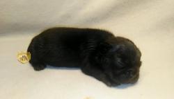 Click sobre la imagen para ampliarla