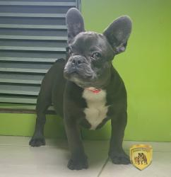 Click sobre la imagen para ampliarla