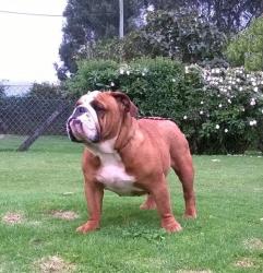 Click sobre la imagen para ampliarla