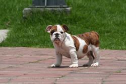 Click sobre la imagen para ampliarla