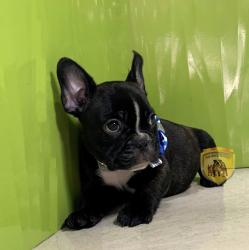 Click sobre la imagen para ampliarla