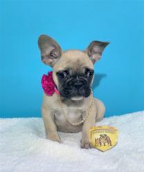 Click sobre la imagen para ampliarla