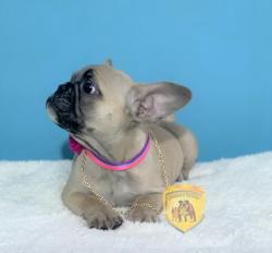 Click sobre la imagen para ampliarla